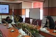 برگزاری کارگاه تدوین محتوای الکترونیکی برای مشاوران مرکز مشاوره دانشگاه در دانشکده مجازی